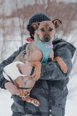 Подопечный выпускник из приюта Ласка волонтёра Алла Булычева