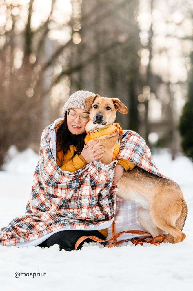 СОБАКА ДЖЕССИ  из приюта Дубовая Роща для бездомных животных, Москва и Московская область | mospriut
