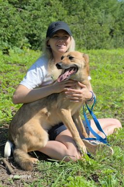 собака Родион из приюта ищет дом