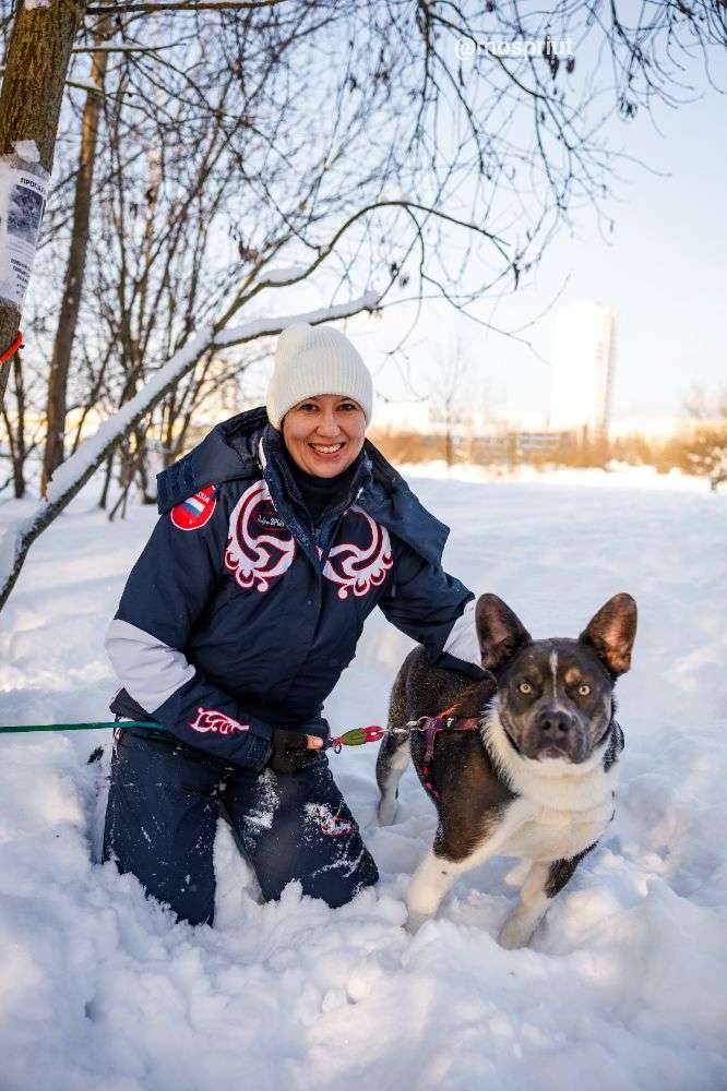 СОБАКА ДЖЕКСОН  из приюта Щербинка для бездомных животных, Москва и Московская область | mospriut