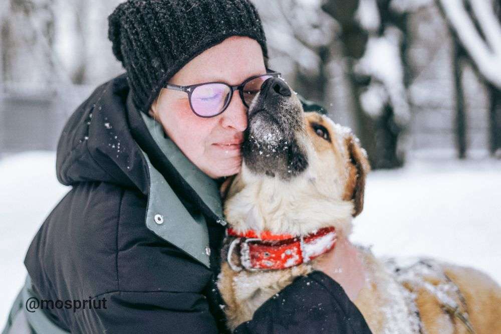 СОБАКА ТЕССА  из приюта Дубовая Роща для бездомных животных, Москва и Московская область | mospriut