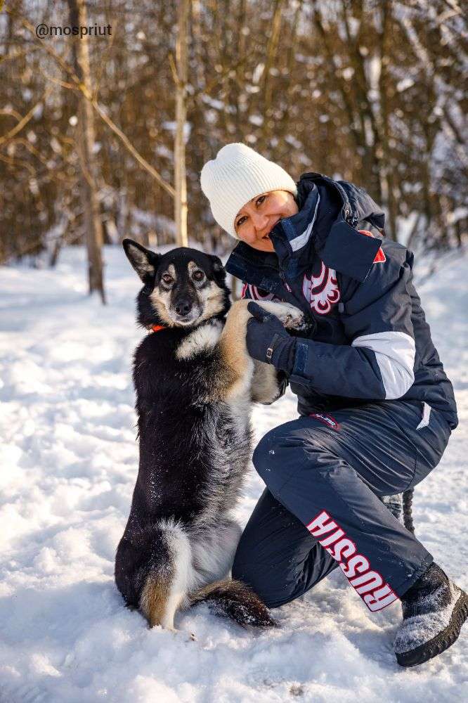 СОБАКА ВИККИ  из приюта Щербинка для бездомных животных, Москва и Московская область | mospriut