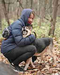 Приют для бездомных животных в Москве и Московской области | Взять собаку или кошку из приюта - mospriut