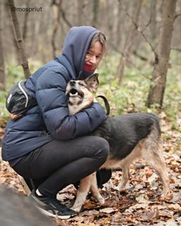 собака Лора из приюта ищет дом