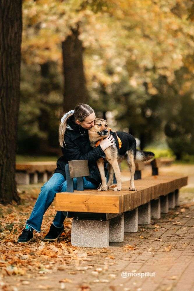 СОБАКА ШУНЯ  из приюта Дубовая Роща для бездомных животных, Москва и Московская область | mospriut
