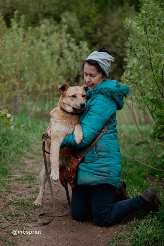 СОБАКА МАТРЁША  из приюта Щербинка для бездомных животных, Москва и Московская область | mospriut