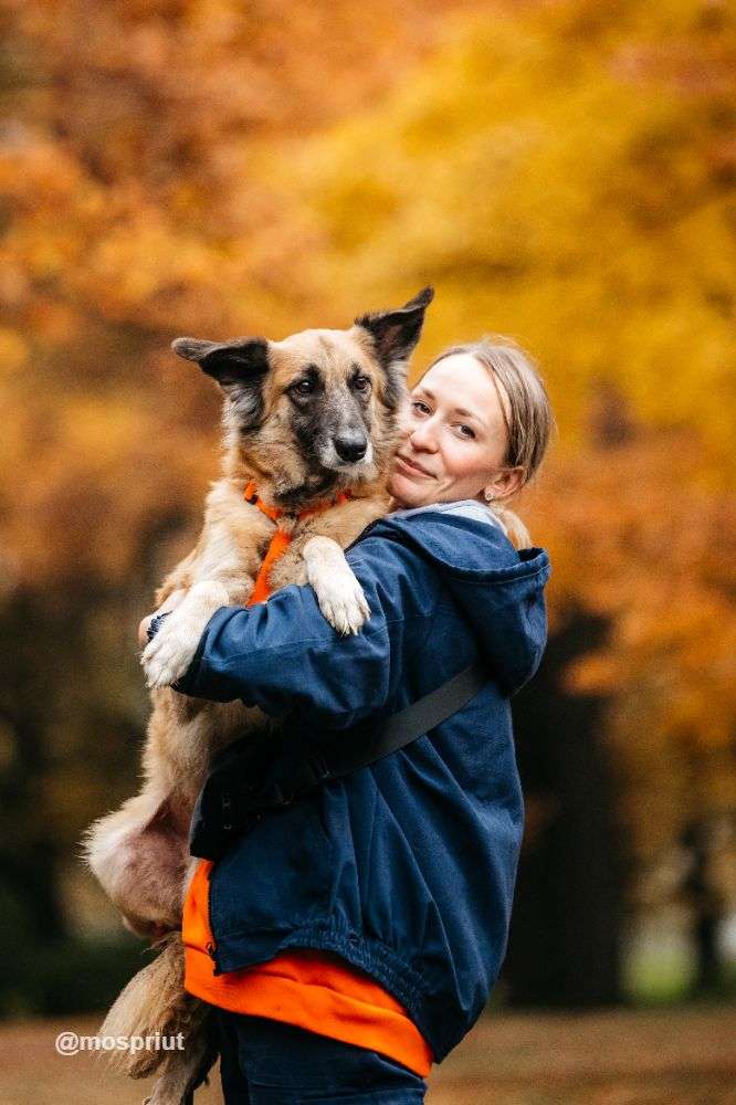 СОБАКА СЕНТА  из приюта Дубовая Роща для бездомных животных, Москва и Московская область | mospriut