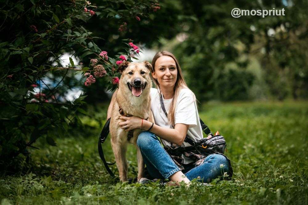 СОБАКА ЛАЙМА  из приюта Дубовая Роща для бездомных животных, Москва и Московская область | mospriut