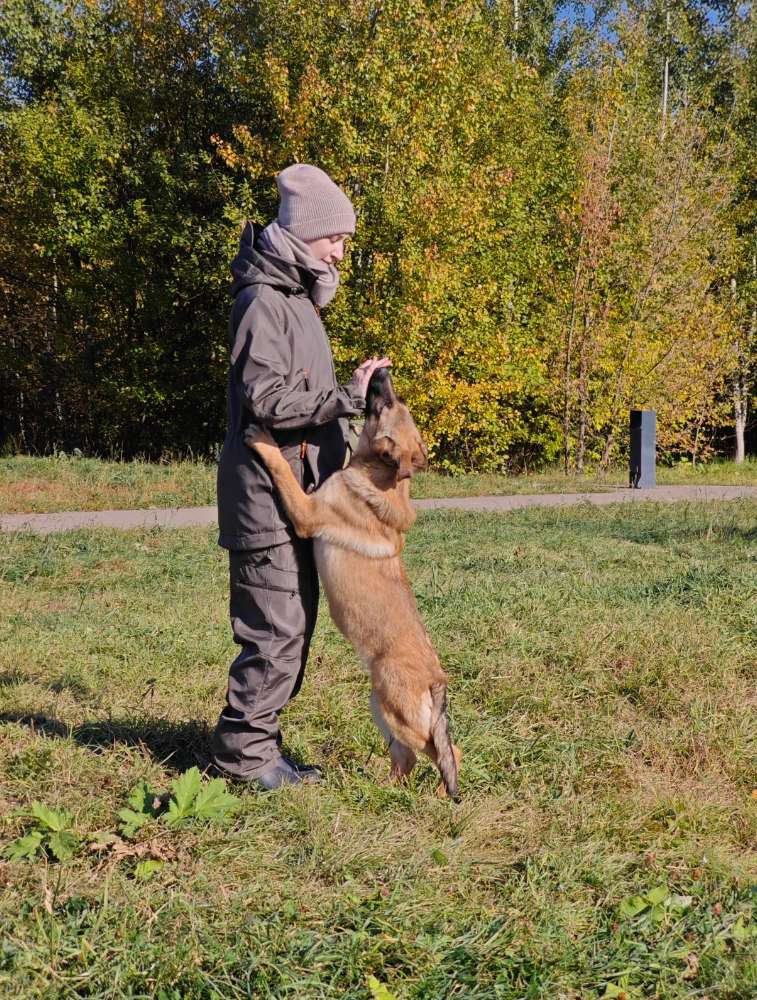 Аватар волонтёра Регина Андреева приюта для бездомных животных «Щербинка»