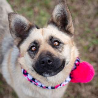 Изображение профиля Ирина Садовникова на сайте mospriut