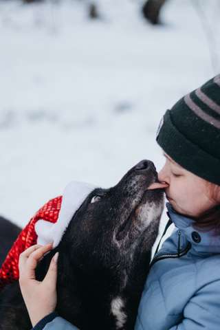 Изображение профиля Ксения Заболотных на сайте mospriut