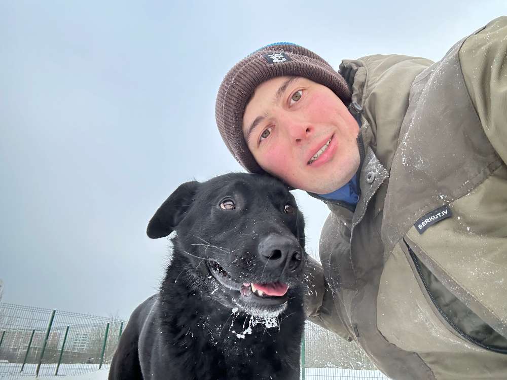 Изображение собаки из приюта , которой можно помочь и купить необходимые товары