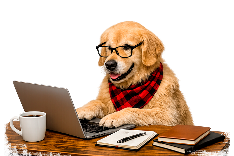 Бездомная собака в очках из приюта Москвы и Московской области пишет пост в блог, которую вы можете взять себе домой