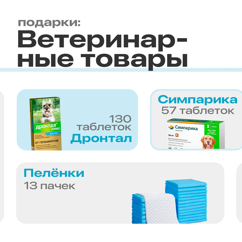 Результаты новогодней акции «Санта для питомца из приюта» 2025 | Приют Щербинка для бездомных животных (собак), Бутово, Москва, ЮЗАО