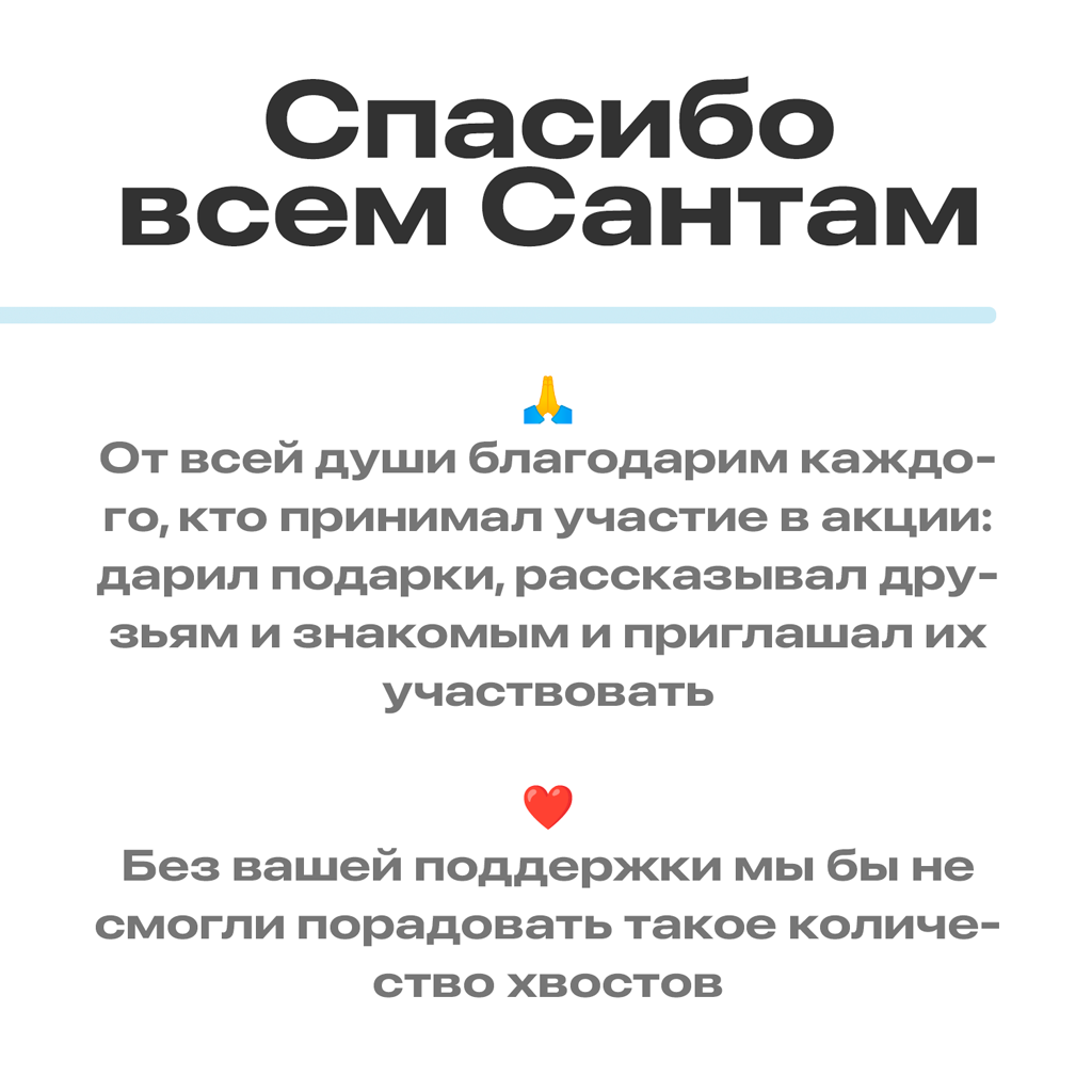Результаты новогодней акции «Санта для питомца из приюта» 2025 | Приют Щербинка для бездомных животных (собак), Бутово, Москва, ЮЗАО