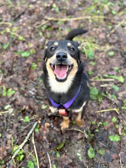 Ромка улыбается, но ещё не знает, что существует куда более лучшая жизнь, чем в приюте  | Пост в блоге сайта mospriut.ru