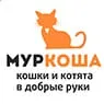 Логип приюта Муркоша