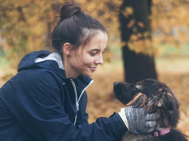 Изображение собаки из приюта Дубовая Роща, которой можно помочь и купить необходимые товары