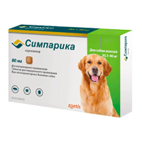 Симпарика - подарок на новый год для питомца из приюта